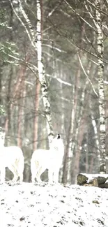 Two wolves howling in a snowy forest scene.