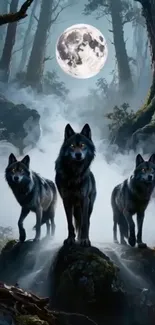 Three wolves in a dark forest under the full moon.