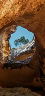 Mobile wallpaper featuring a cave opening with tree and blue sky.