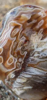 Close-up of a geode stone with earthy, intricate textures.