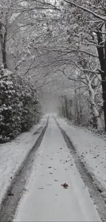 Snow-covered path lined by frosty trees in winter landscape.