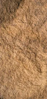 Brown rock texture mobile wallpaper with natural look.