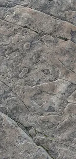 Close-up of a natural rock texture in earthy tones for a mobile wallpaper.