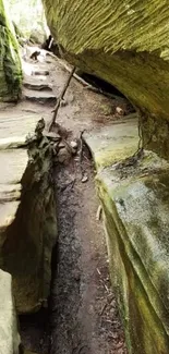 Serene pathway through rocky landscape surrounded by nature.