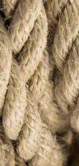 Close-up of beige rope texture on wallpaper.