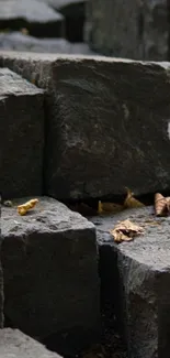 Gray stone bricks with dry leaves scattered on top.