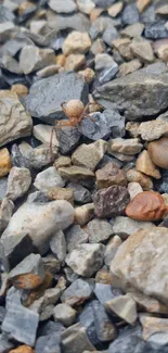 Close-up of assorted natural stones and pebbles with varied textures and colors.