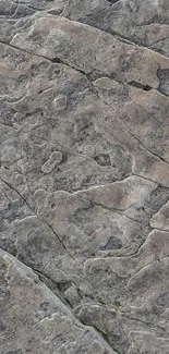 Close-up view of natural stone texture with cracks and gray hues.