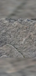 Gray stone texture wallpaper with natural patterns.