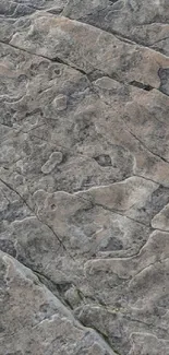 Natural gray stone texture wallpaper for mobile.