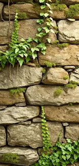 Natural stone wall with green ivy and moss details.