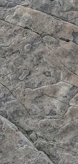 Textured stone surface with earthy gray tones.