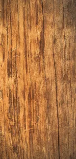 Close-up of rustic wood texture with brown tones.