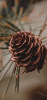 Close-up of a rustic pine cone with earthy tones.