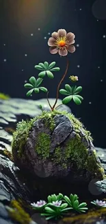 Delicate flower growing on mossy rock with dark background.