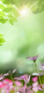 Mobile wallpaper with green leaves and pink flowers.