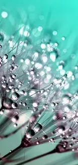 Close-up of dewy plants on a vibrant turquoise background.