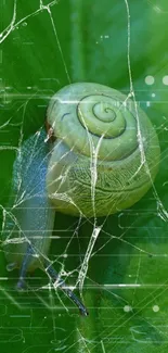 Snail on green leaf with digital cracked glass overlay.