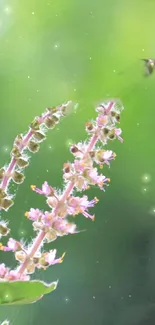 Blossoming pink flowers against a serene green backdrop, capturing nature's elegance.