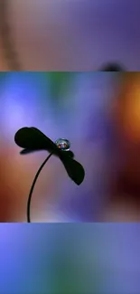 Elegant dew drop balanced on a leaf with vibrant colors in the background.