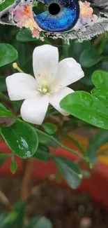 Artistic blue eye above white flower with green leaves background.