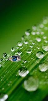 Green leaf with dew and artistic eye design.