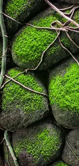 Green moss with vines on stone wall wallpaper.