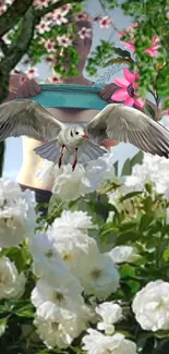 Flying bird over white roses with vibrant blossoms and trees.