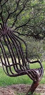 A chair formed by intertwined tree branches in a green landscape.