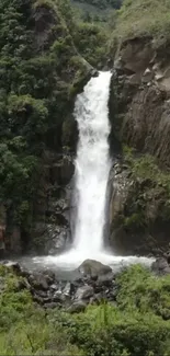 A serene waterfall in a lush forest setting.