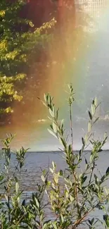 Rainbow over a tranquil lake surrounded by greenery.