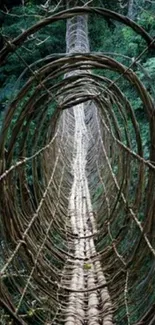 Vine bridge surrounded by lush green forest in nature-themed wallpaper.