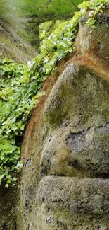 Stone face entwined with greenery, symbolizing nature's harmony.