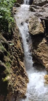 Alpine stream surrounded by rocks and greenery.