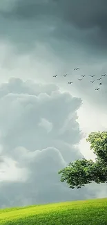 Lone tree in green field with cloudy sky and birds flying.