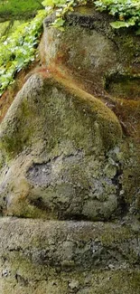 Stone face sculpture with green foliage covering.