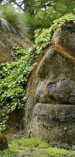 Moss-covered stone faces in a lush, green forest, creating a serene scene.