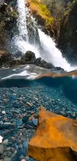 A serene waterfall and clear stream with rocky textures and foliage.