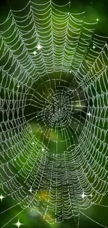 Intricate spider web with green forest background.