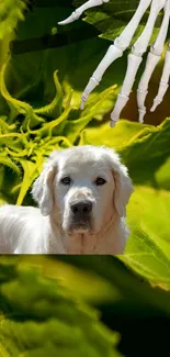 Wallpaper of a dog, skeleton hand, and green leaves.