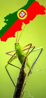 Grasshopper with Portuguese flag on vibrant green background.