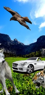 Animals and car in a mountain landscape with blue sky.