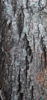 Detailed bark texture wallpaper for mobile.