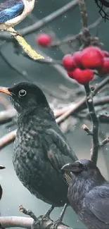 Birds and red berries on bare branches mobile wallpaper.