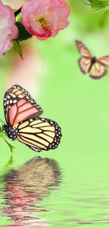 Vibrant butterfly and pink flowers with a green background wallpaper.