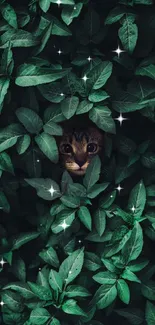 A hidden cat peeks through lush green leaves in this nature-themed mobile wallpaper.