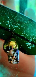 Close-up of a shiny cocoon on a vibrant green leaf.