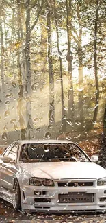 White car in a serene autumn forest background with gentle morning light.