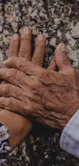 Two aged hands resting on a tree trunk with textured bark.