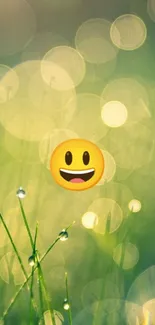 Smiling emoji on green grass with bokeh effect.